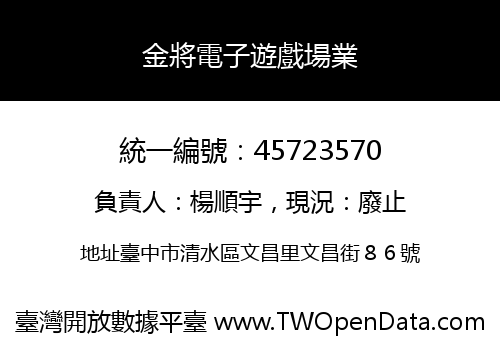 金將電子遊戲場業