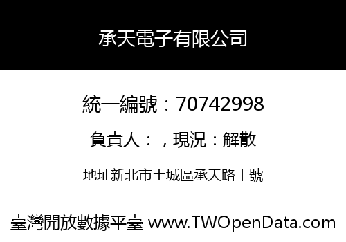 承天電子有限公司