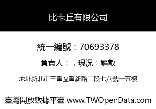 比卡丘有限公司
