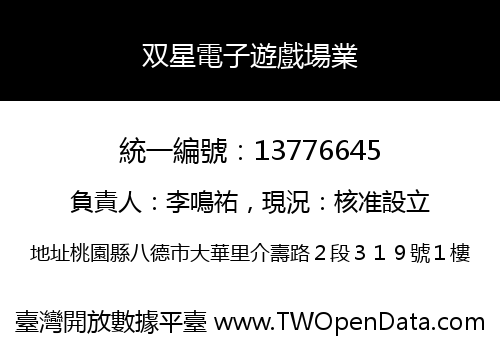 双星電子遊戲場業