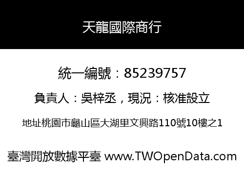 天龍國際商行