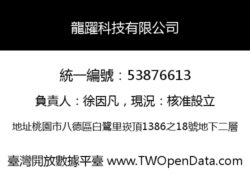 龍躍科技有限公司