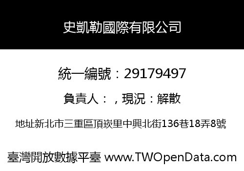 史凱勒國際有限公司
