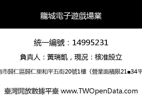 龍城電子遊戲場業