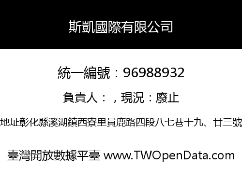 斯凱國際有限公司