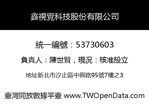 鑫視覺科技股份有限公司