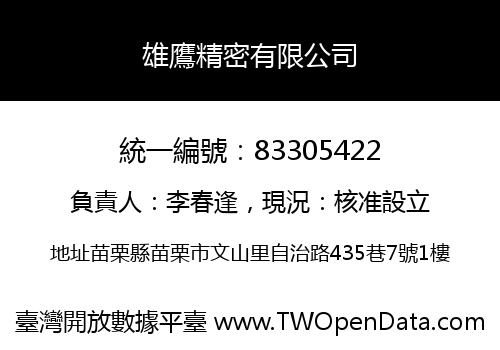 雄鷹精密有限公司