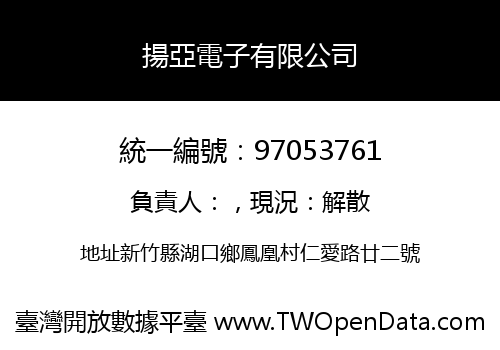 揚亞電子有限公司
