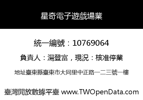 星奇電子遊戲場業