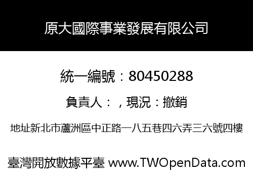 原大國際事業發展有限公司