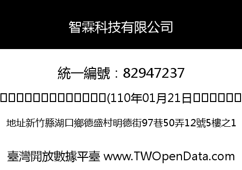 智霖科技有限公司