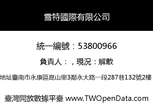 雪特國際有限公司