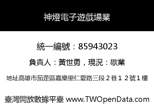 神燈電子遊戲場業