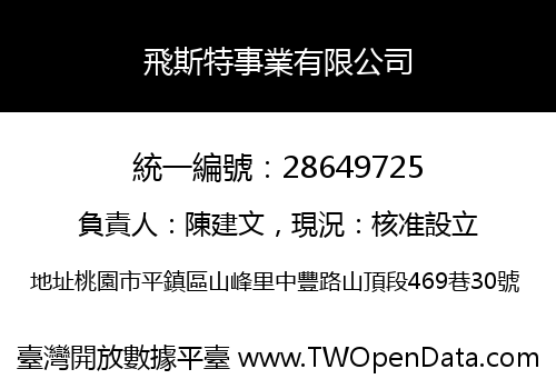 飛斯特事業有限公司