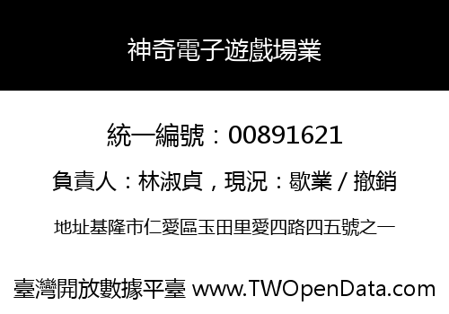 神奇電子遊戲場業
