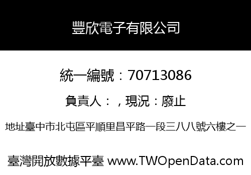 豐欣電子有限公司