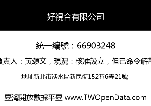 好視合有限公司