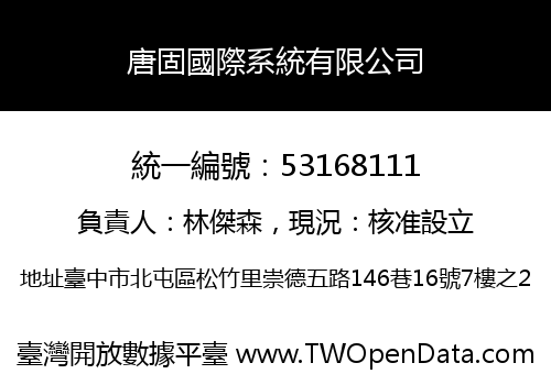 唐固國際系統有限公司