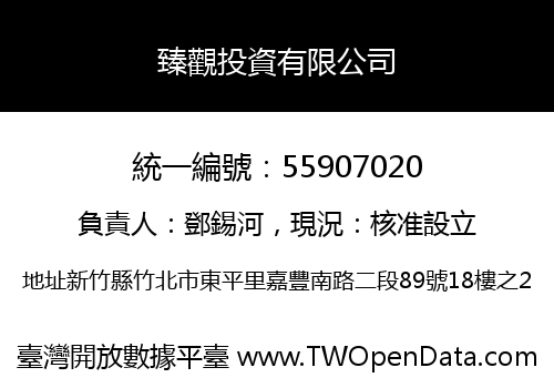 臻觀投資有限公司