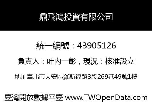 鼎飛鴻投資有限公司