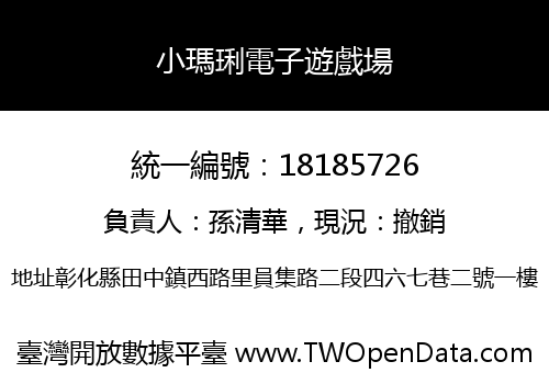 小瑪琍電子遊戲場