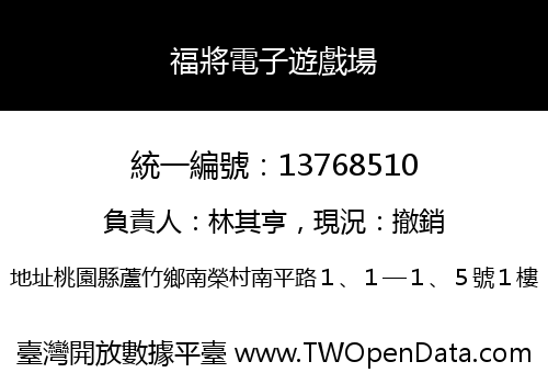 福將電子遊戲場