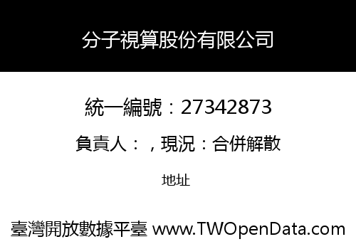 分子視算股份有限公司