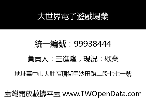 大世界電子遊戲場業
