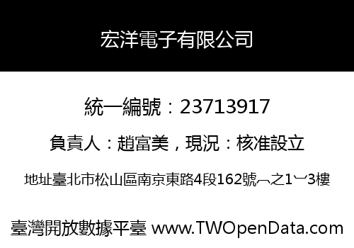 宏洋電子有限公司