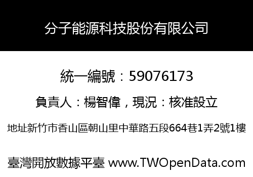 分子能源科技股份有限公司