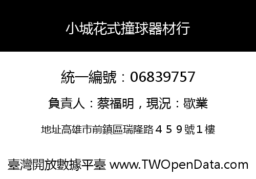 小城花式撞球器材行