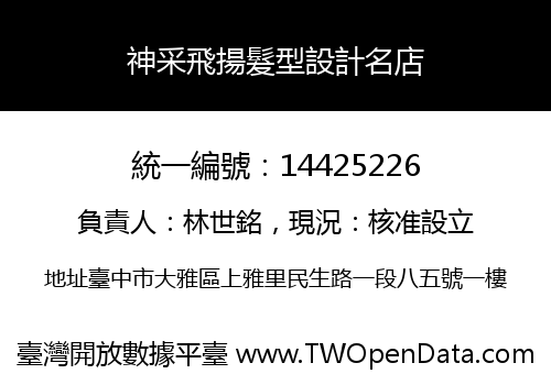 神采飛揚髮型設計名店