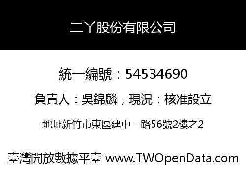 二丫股份有限公司