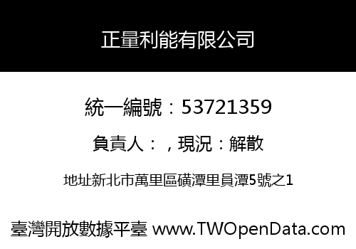 正量利能有限公司