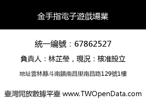 金手指電子遊戲場業