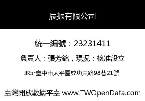 辰振有限公司