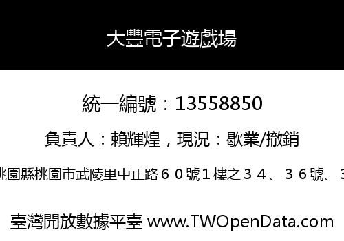 大豐電子遊戲場