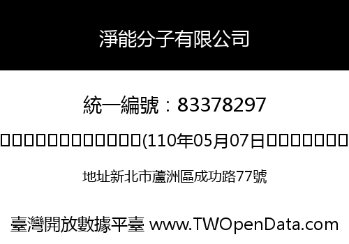淨能分子有限公司