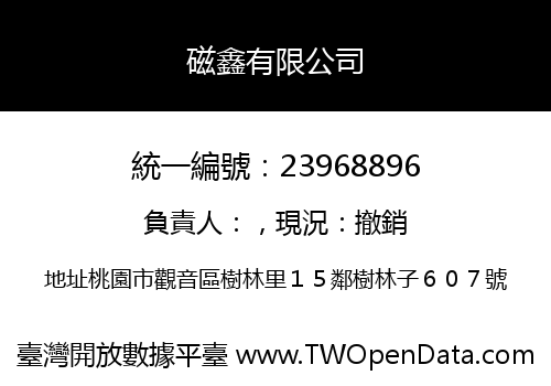 磁鑫有限公司