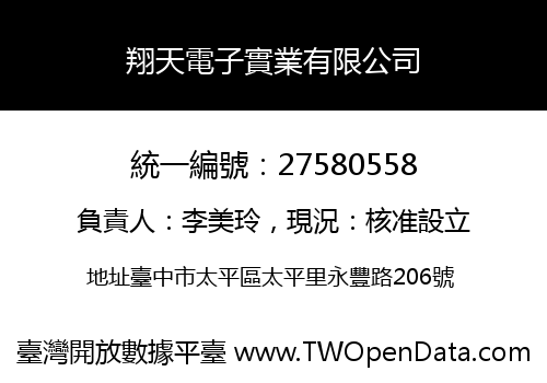 翔天電子實業有限公司