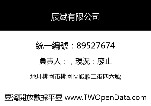 辰斌有限公司