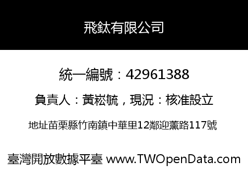 飛鈦有限公司