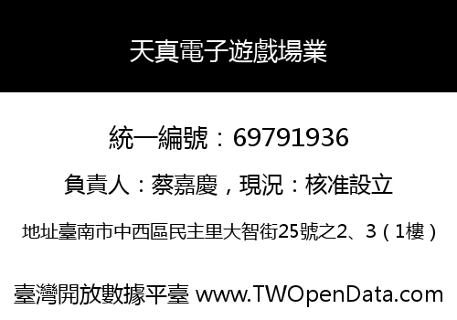 天真電子遊戲場業