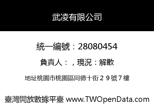 武凌有限公司