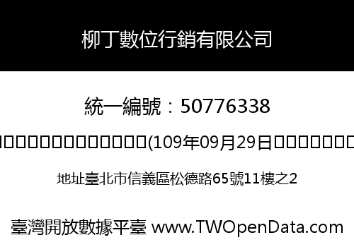 柳丁數位行銷有限公司