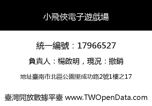 小飛俠電子遊戲場