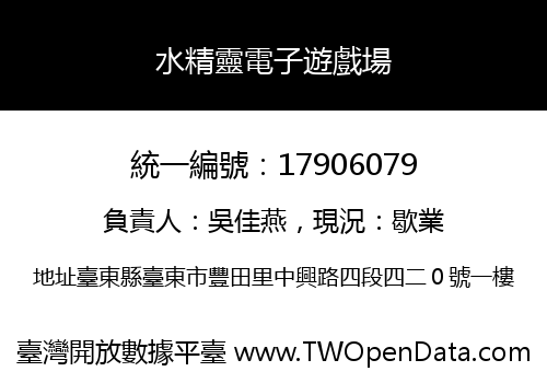 水精靈電子遊戲場