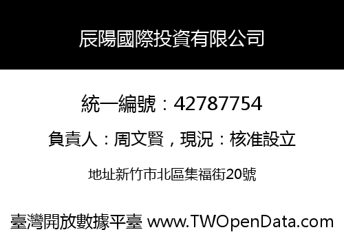 辰陽國際投資有限公司