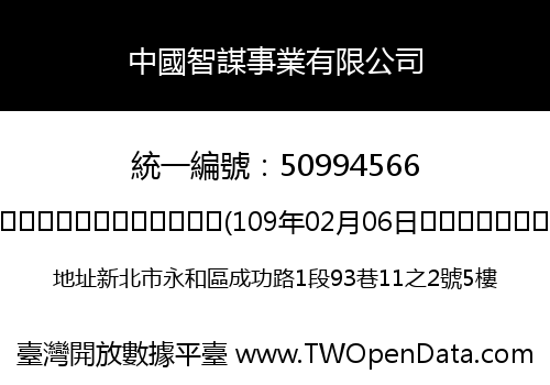 中國智謀事業有限公司