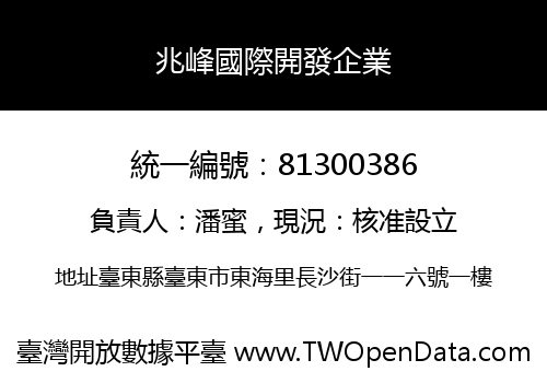 兆峰國際開發企業